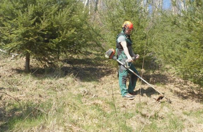 Beispielarbeit von Gartenlandschaftsbau Ortlepp - Haus u. Gartenservice UG - veröffentlicht auf Gartenbau.org